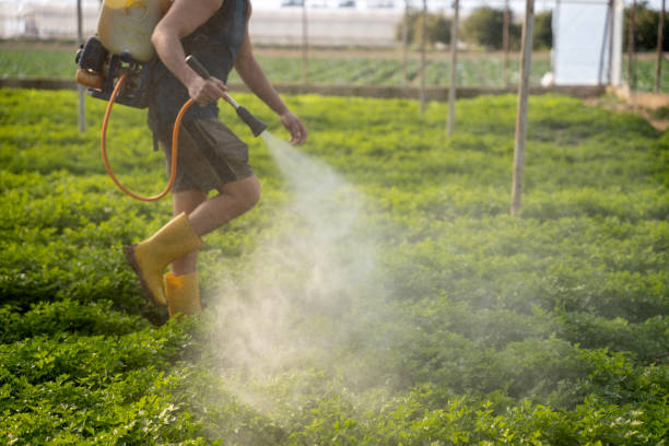 Best Pest Control Cost  in Osborne, KS