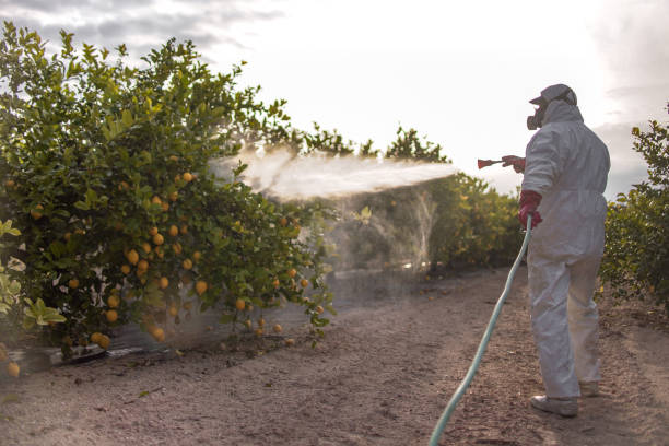 Osborne, KS Pest Control Pros