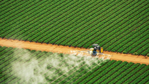 Pest Control Cost in Osborne, KS