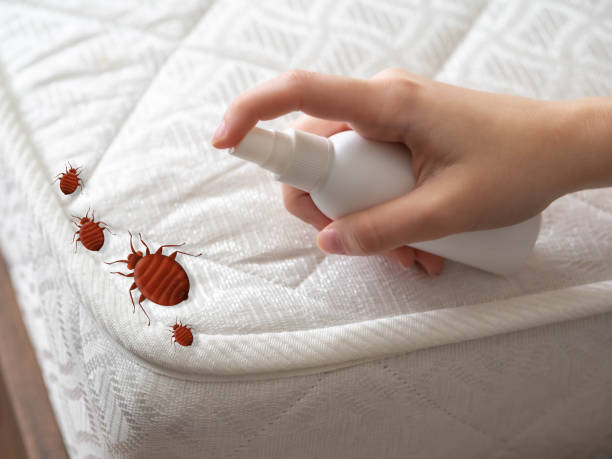 Trusted Osborne, KS Pest Control Experts
