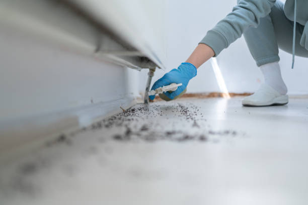 Flea Control Services in Osborne, KS
