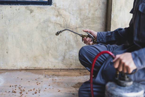 Best Wasp Removal Services  in Osborne, KS